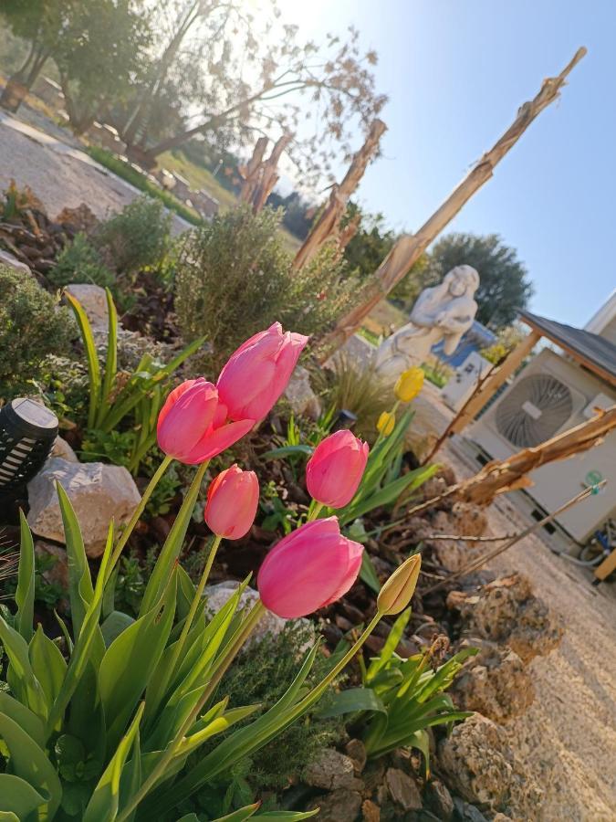 Nafplio Lodge Bagian luar foto